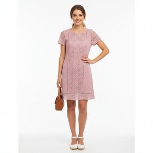 Abercrombie & Fitch Pink Lace Short Sleeve Dress XS Feminine
